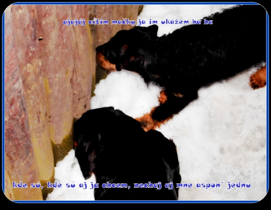 kopovka a jagoška v družnom vetrení