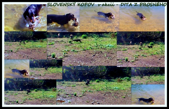 Moja kopovka  v akcii som na ňu pyšná