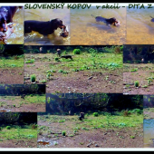 Moja kopovka  v akcii som na ňu pyšná