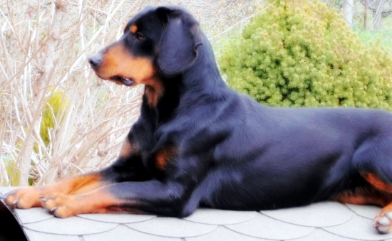 Dita z Prosného .. sa tu slním chytám bronz