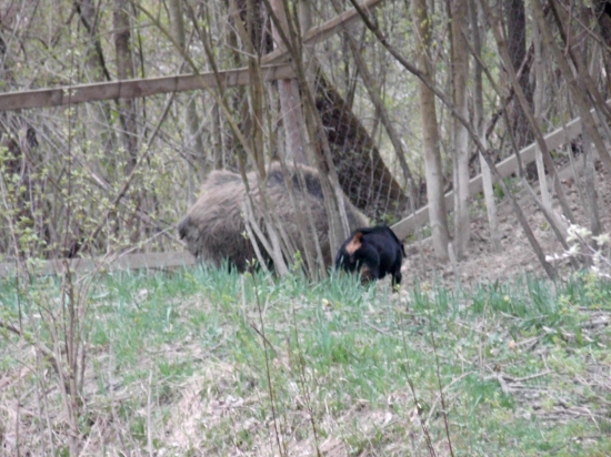 Ty tvrdíš , že sa nepohneš :) no tak na to by som sa pozrela :)