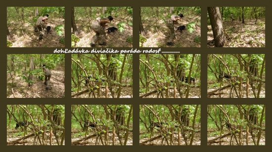 Dita z Prosného dohladavka uspešná ako vždy je to šikovnica šikovná