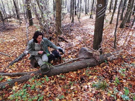 PF - Hlasič úspešné