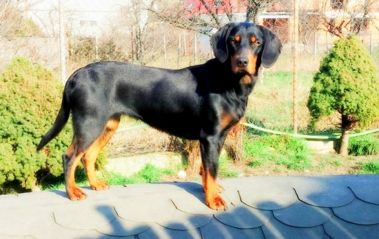 Dáma Ditka, trošku slniečka 