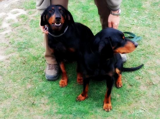 Dita z Prosneho a Beny z Čerešňovej Párenie