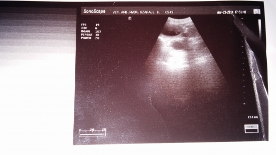 no a Dituška bude mamička