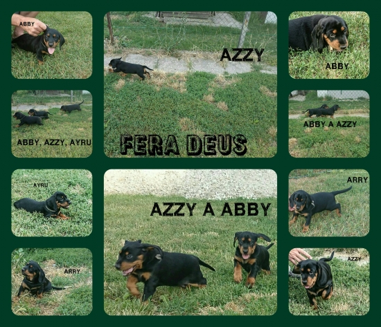 Moji Čertíci - tryskáči