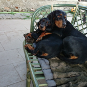mama Dita a jej dievčatko AYRU