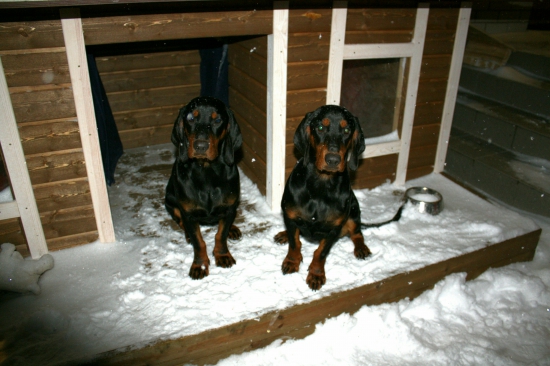 Abby a Azzy V Estónsku