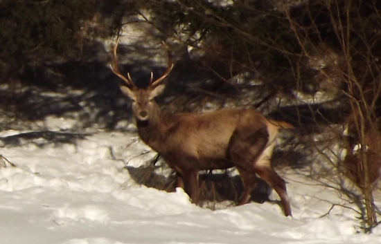 Dnešná prechádzka