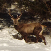 Dnešná prechádzka