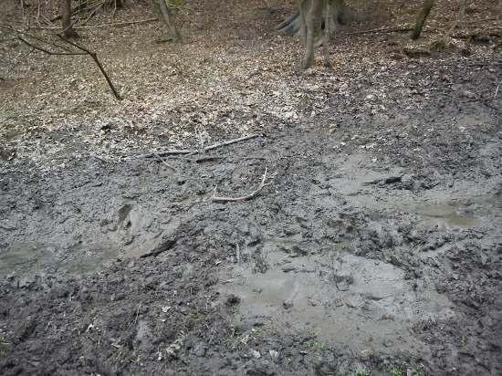 takto si tam ležal .... osem torák