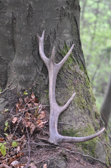 Konečne sa zadarilo