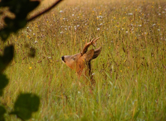 Když je špatný vítr .... :D
