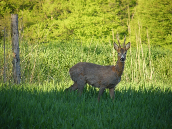 Koho tam vidím ...?