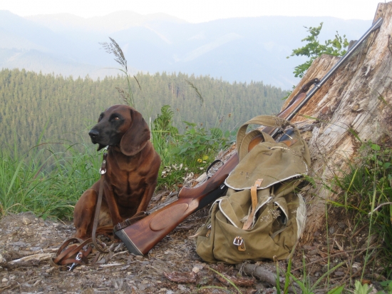 ISKRA z Doliny Dojcy