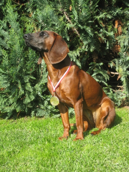 Poľsky klubový víťaz mladých