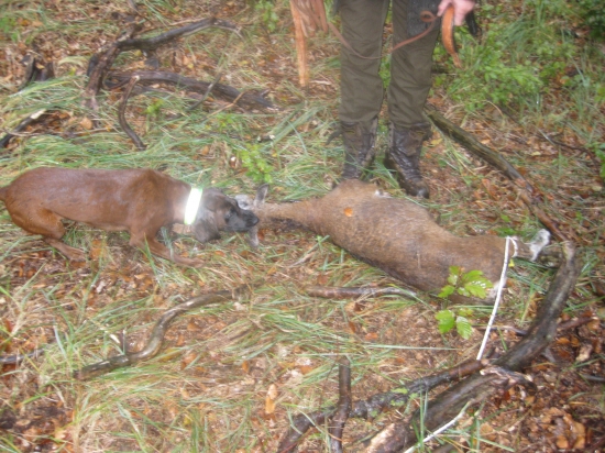 Iskra na umelej stope