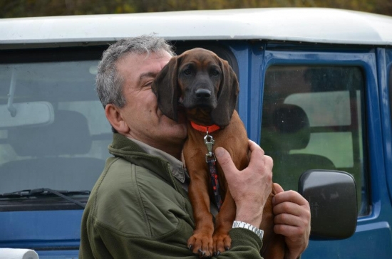 ATREY Karpatia Lindenbach