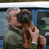 ATREY Karpatia Lindenbach