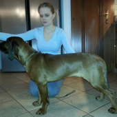 ARON Karpatia Lindenbach - 6 mesiacov