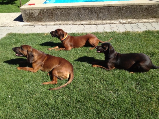 naša farbiarska banda :)