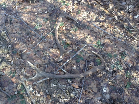 Takto si tam ležali