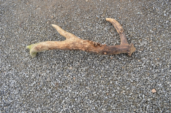 Starý, ale zaujímavý