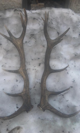 Minuloročné, nájdene tohto roku