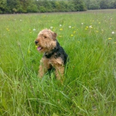 Rebel nám vyrástol