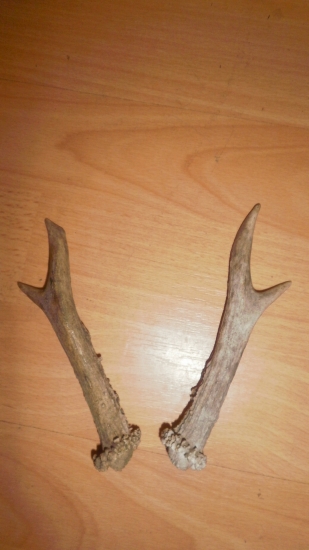 dnes na brigade brat nasiel