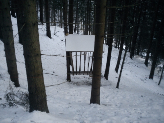 Niektory sa newedia o tu zwer starat to nastwe....:(