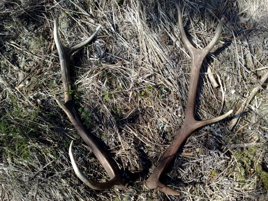 Prvý zhod-y a hneď pár :)