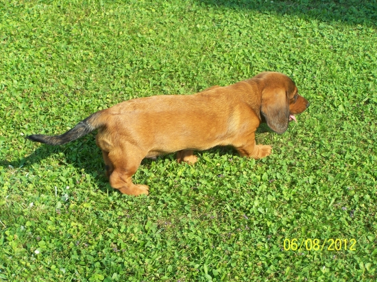 CIR z Nízkych Beskýd