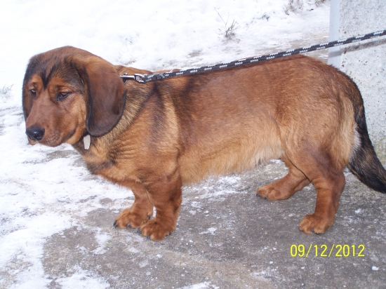 CIR z Nízkych Beskýd