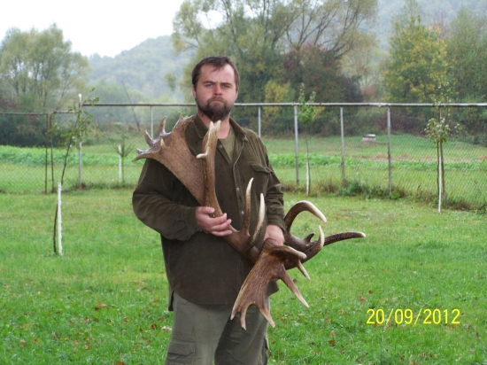 veľka kopa gombičiek