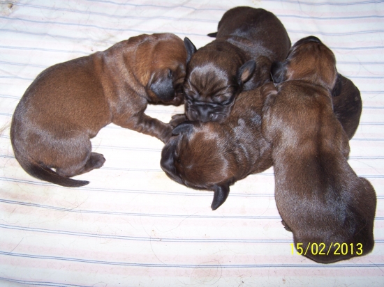 D z Nízkych Beskýd 3.deň 2040g