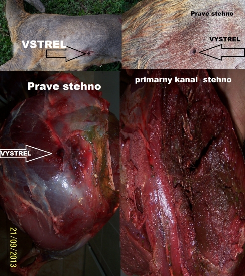 S&B Protected point expanding 10,2g   7x57