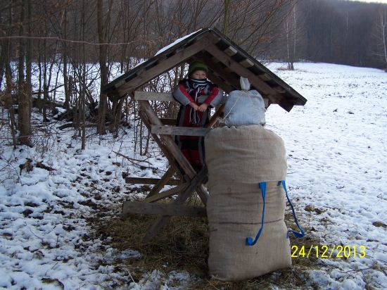 vianočná prechádzka