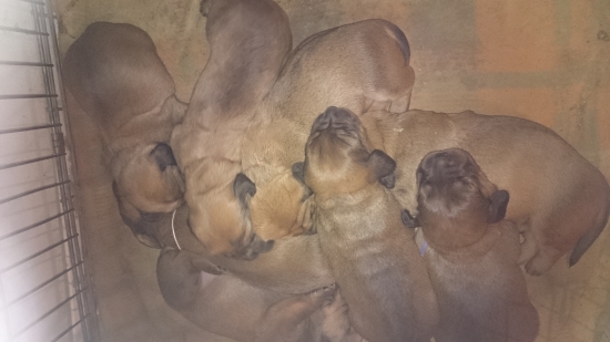 I z Nízkych Beskýd