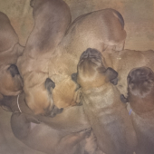 I z Nízkych Beskýd