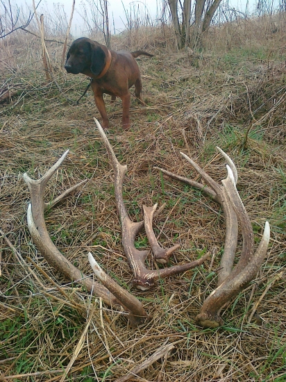 Úspešný deň - 2.Apríl 2011