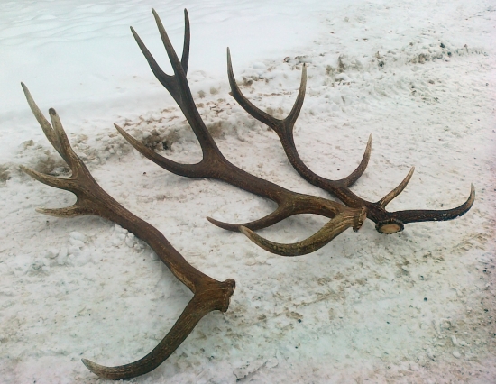 Keď končí sa deň....