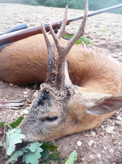Z Moldavskej nížiny