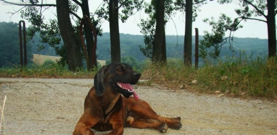 Cestou domov..