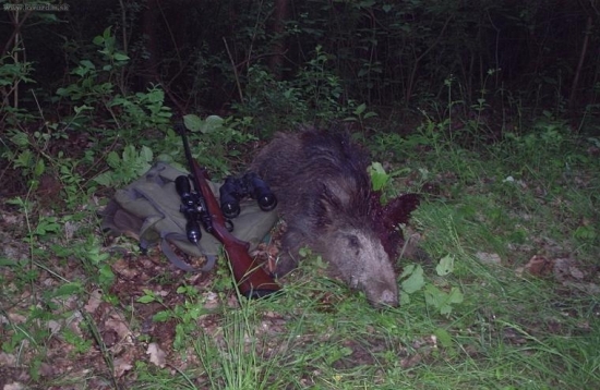 Ranná posliedka....