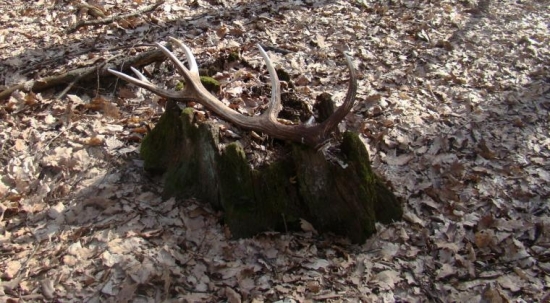 Z Tvarožníka - 2009