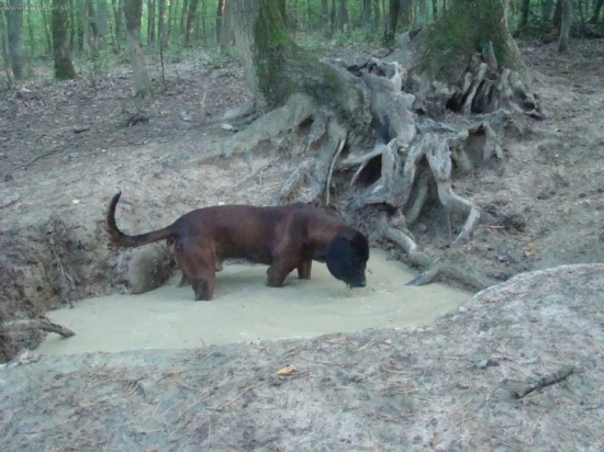 Osvieženie pri solisku..