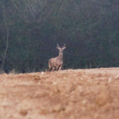V mládeži je budúcnosť...