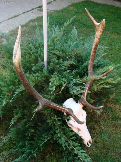 Kamarátov osmorák - 9.r.